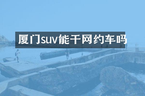 厦门suv能干网约车吗