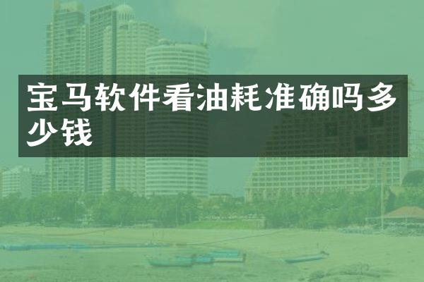 宝马软件看油耗准确吗多少钱