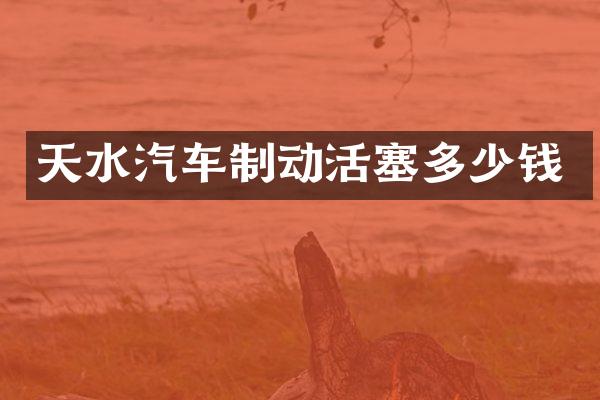 天水汽车制动活塞多少钱