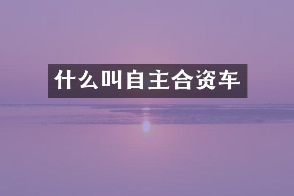 什么叫自主合资车
