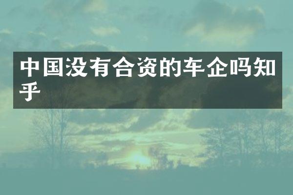 中国没有合资的车企吗知乎