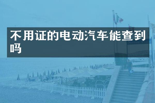 不用证的电动汽车能查到吗