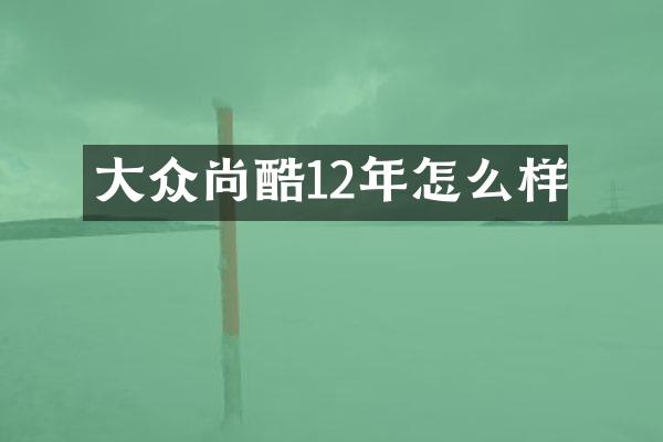 大众尚酷12年怎么样