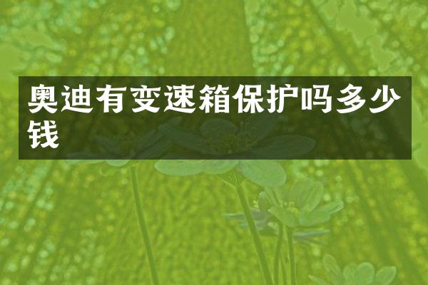 奥迪有变速箱保护吗多少钱