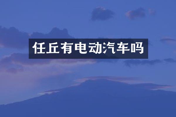 任丘有电动汽车吗