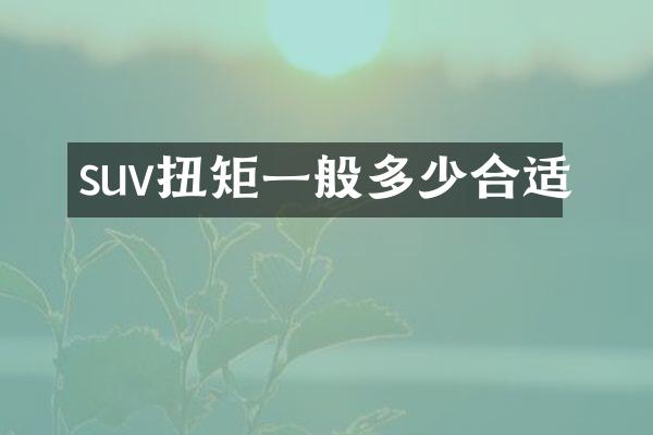 suv扭矩一般多少合适
