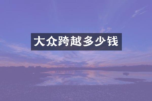 大众跨越多少钱