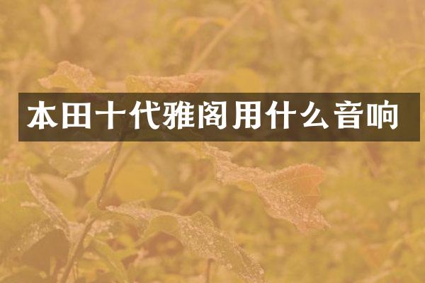 本田十代雅阁用什么音响