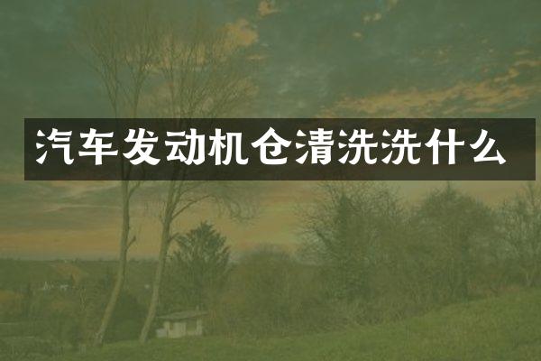 汽车发动机仓清洗洗什么