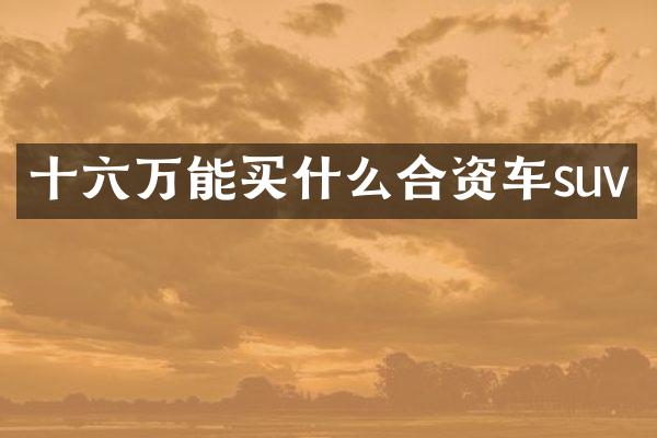 十六万能合资车suv
