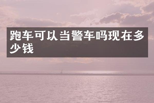 跑车可以当警车吗现在多少钱