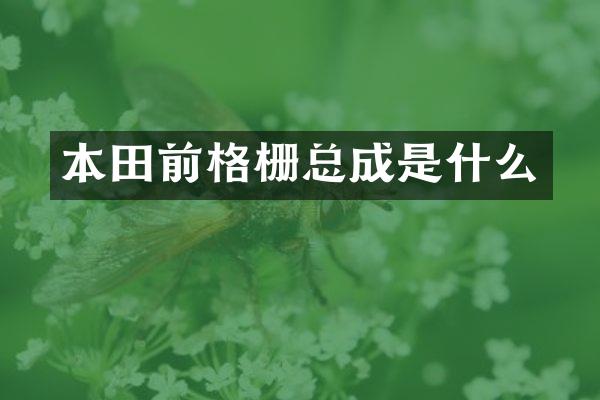 本田前格栅总成是什么