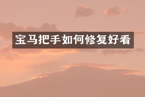 宝马把手如何修复好看