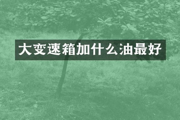 大变速箱加什么油最好