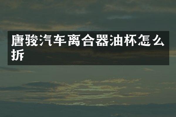 唐骏汽车离合器油杯怎么拆