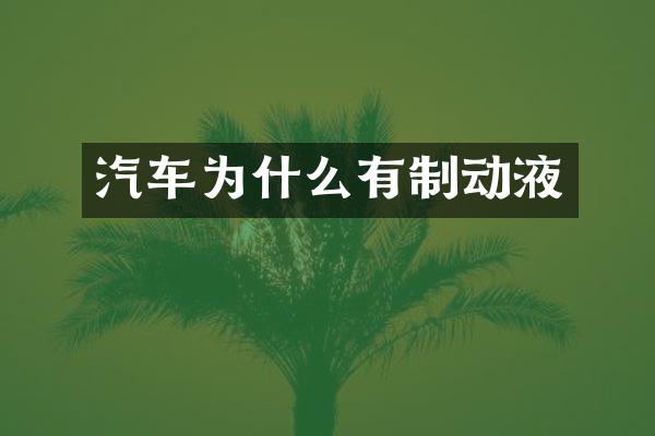 汽车为什么有制动液