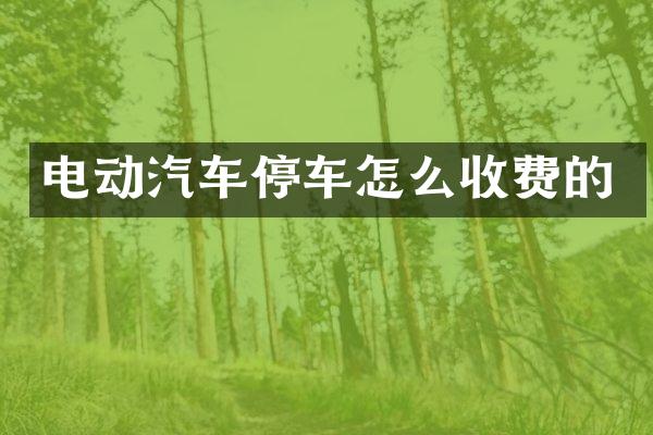 电动汽车停车怎么收费的