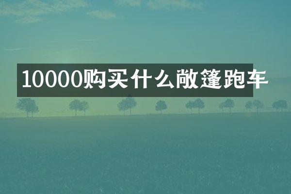 10000购敞篷跑车