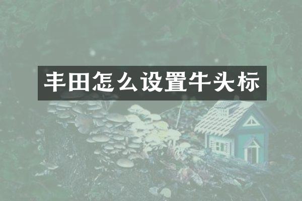 丰田怎么设置牛头标