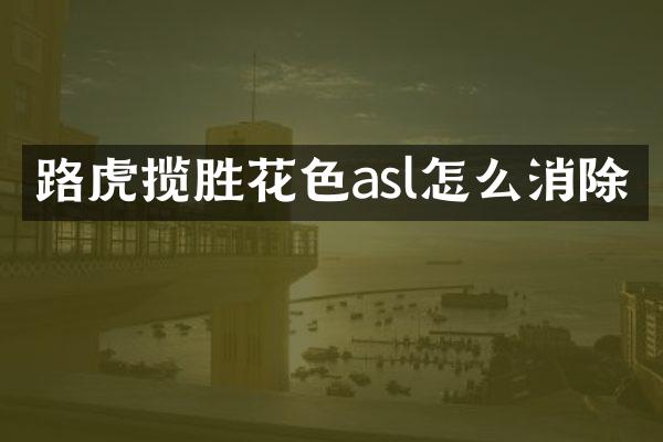 路虎揽胜花色asl怎么消除