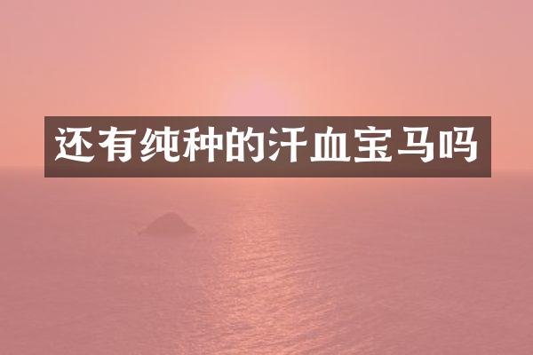 还有纯种的汗血宝马吗