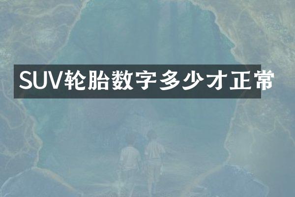 SUV轮胎数字多少才正常