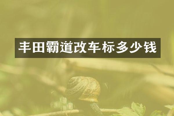 丰田霸道改车标多少钱