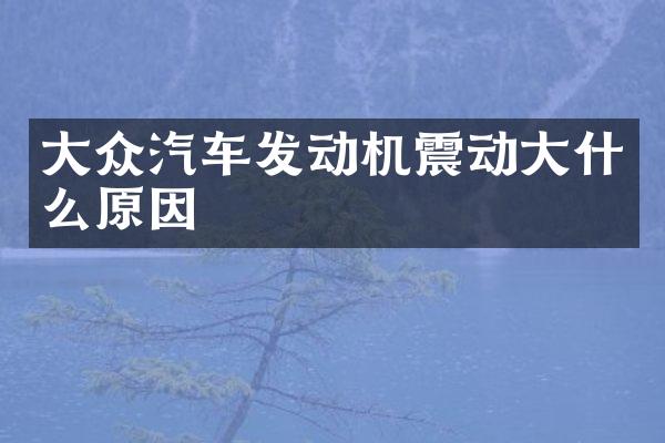 大众汽车发动机震动大什么原因