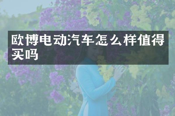 欧博电动汽车怎么样值得买吗