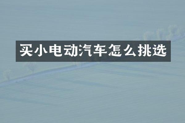 买小电动汽车怎么挑选
