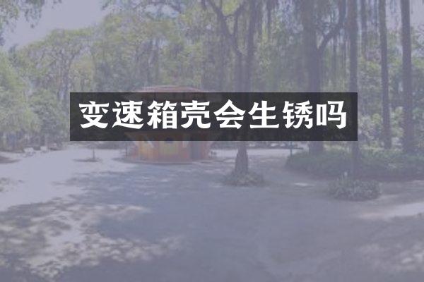 变速箱壳会生锈吗
