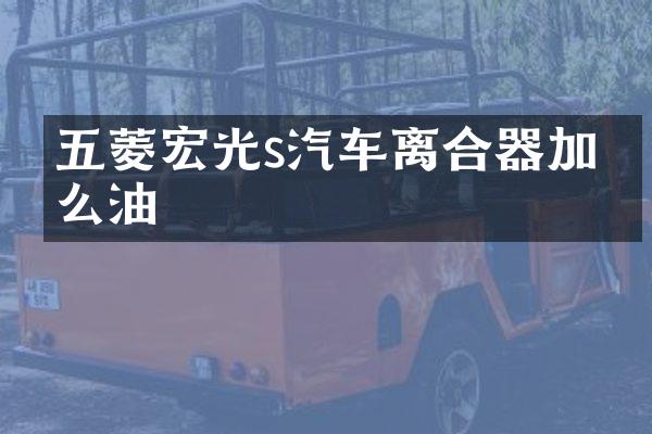 五菱宏光s汽车离合器加什么油
