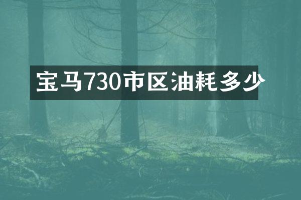 宝马730市区油耗多少
