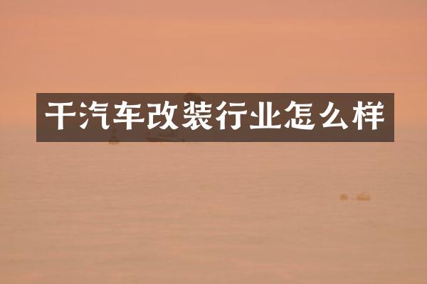 干汽车改装行业怎么样