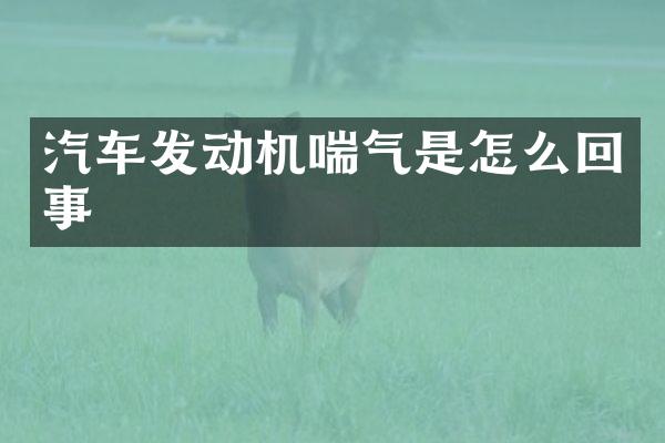 汽车发动机喘气是怎么回事