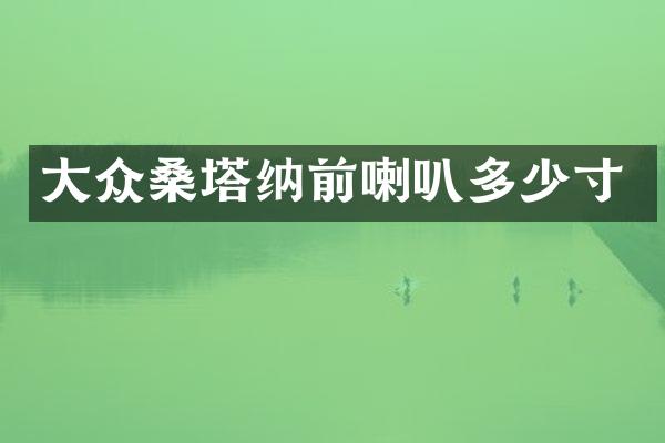 大众桑塔纳前喇叭多少寸