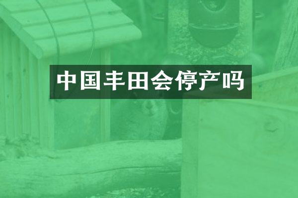 中国丰田会停产吗