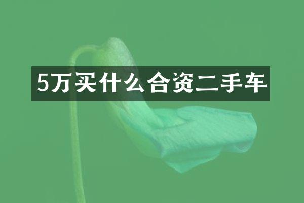 5万合资二手车
