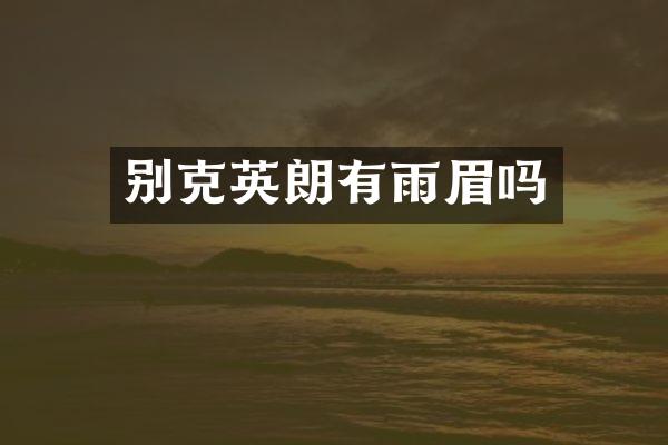 别克英朗有雨眉吗