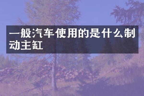 一般汽车使用的是什么制动主缸