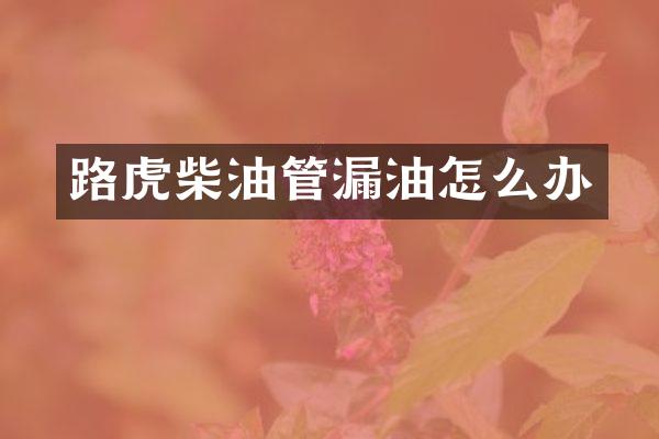 路虎柴油管漏油怎么办