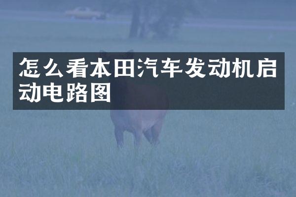 怎么看本田汽车发动机启动电路图