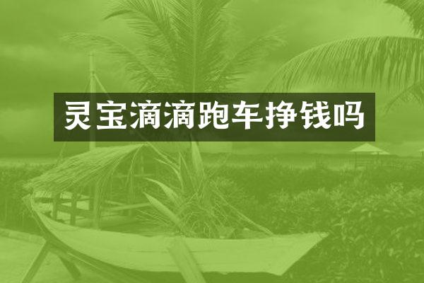 灵宝滴滴跑车挣钱吗