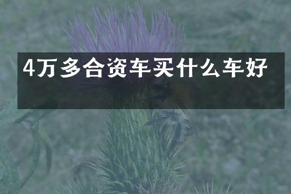 4万多合资车车好呢