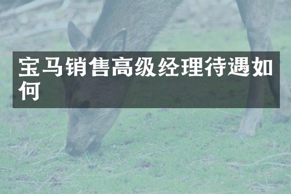 宝马销售高级经理待遇如何