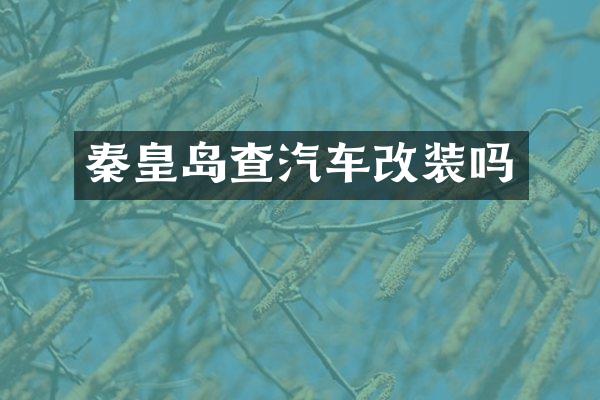 秦皇岛查汽车改装吗