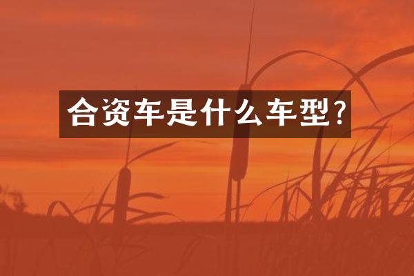 合资车是什么车型?