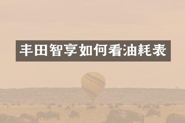 丰田智享如何看油耗表
