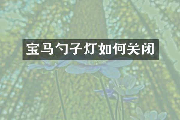 宝马勺子灯如何关闭