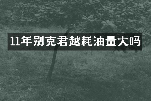 11年别克君越耗油量大吗